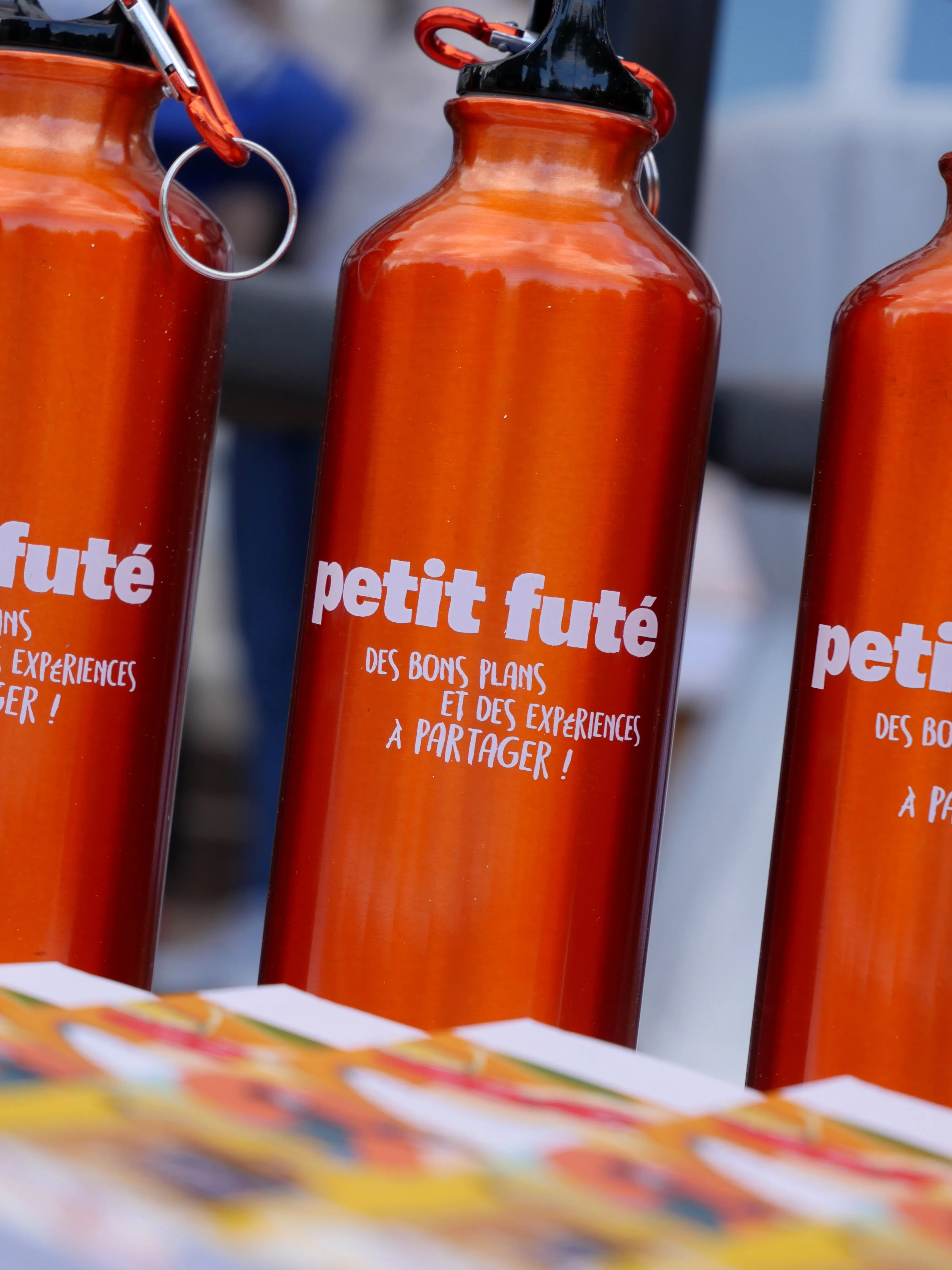 LE NOUVEAU PETIT FUTÉ