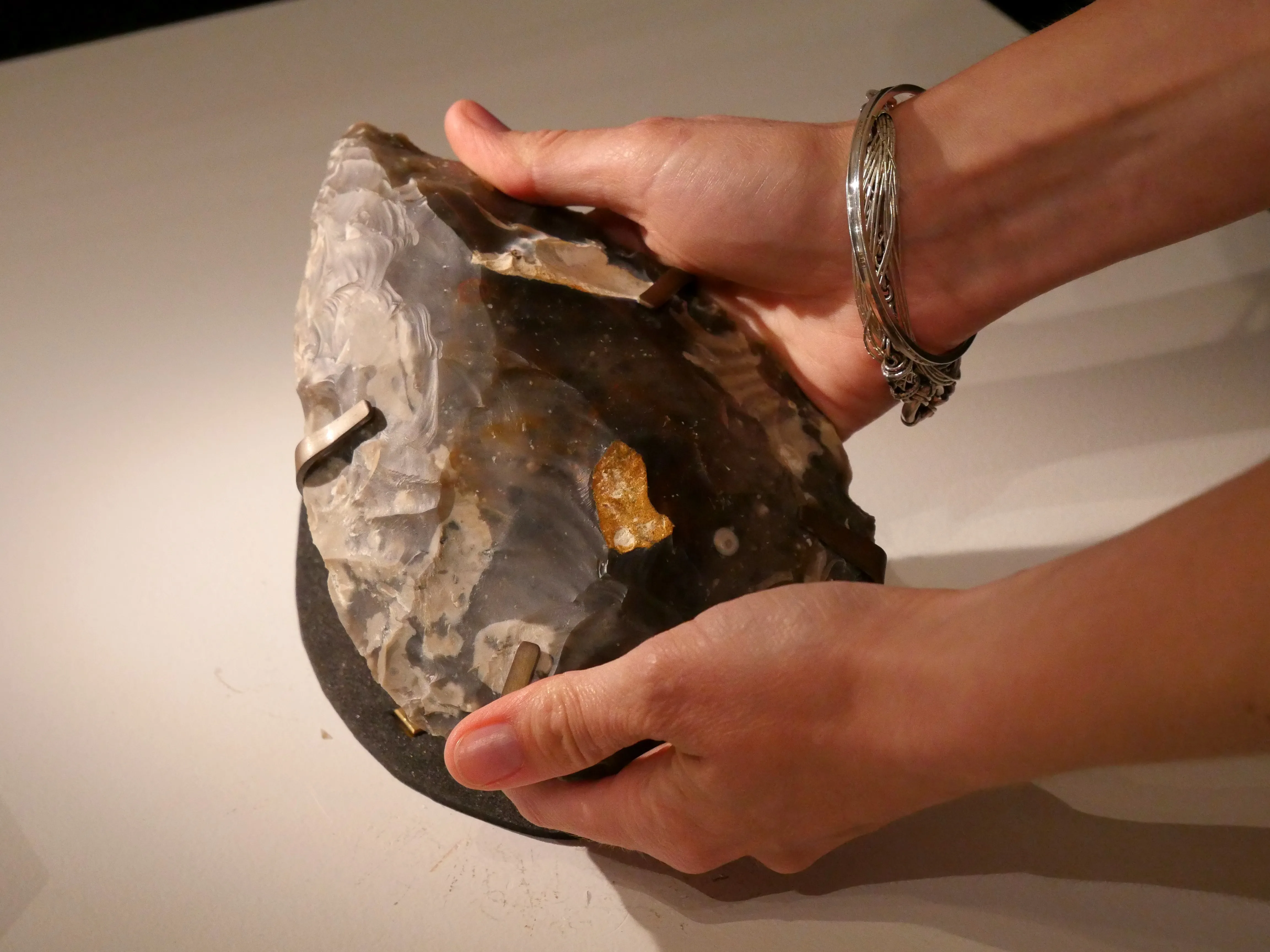 LA SOMME DES PRÉHISTOIRES