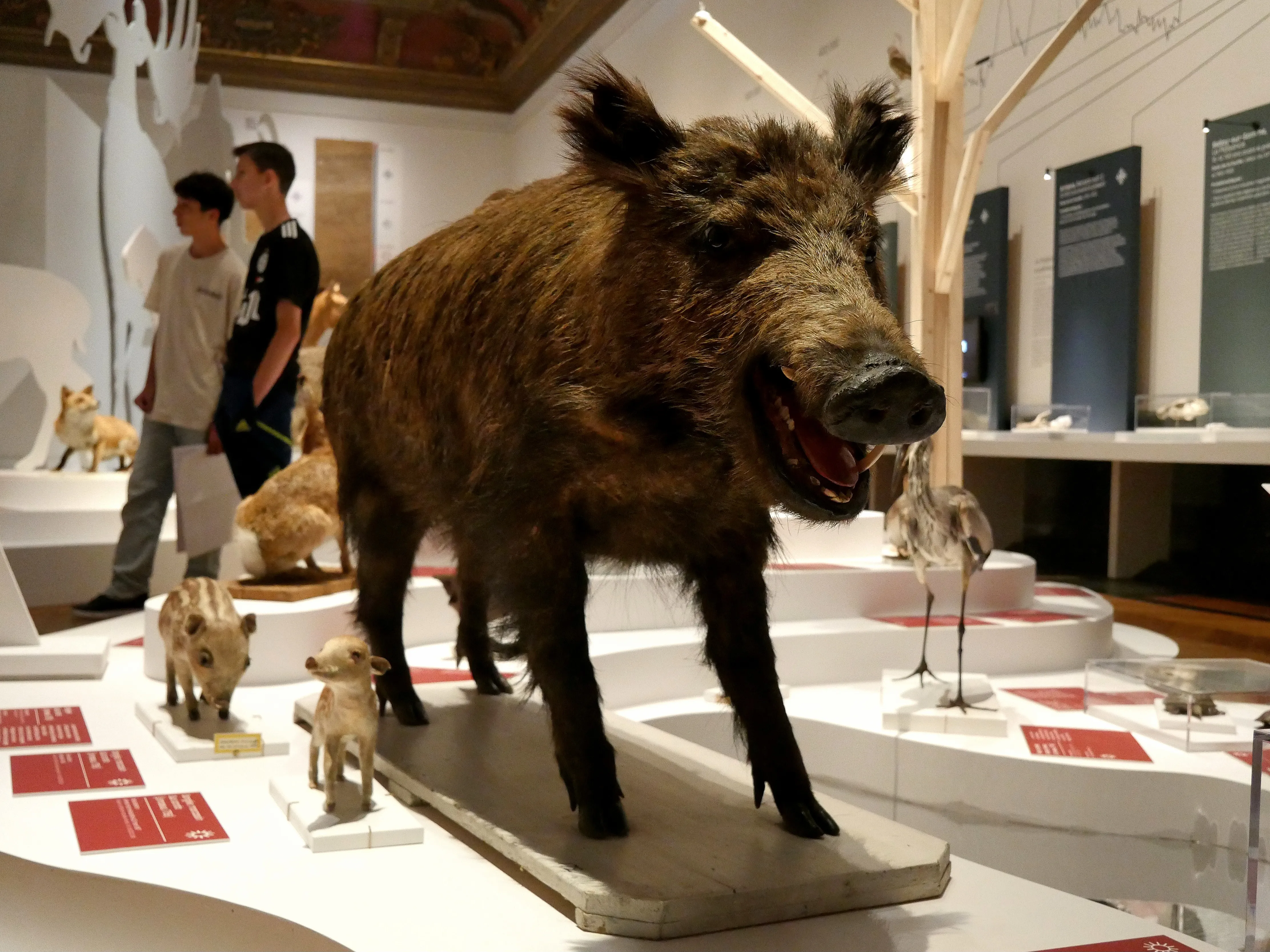 LA SOMME DES PRÉHISTOIRES