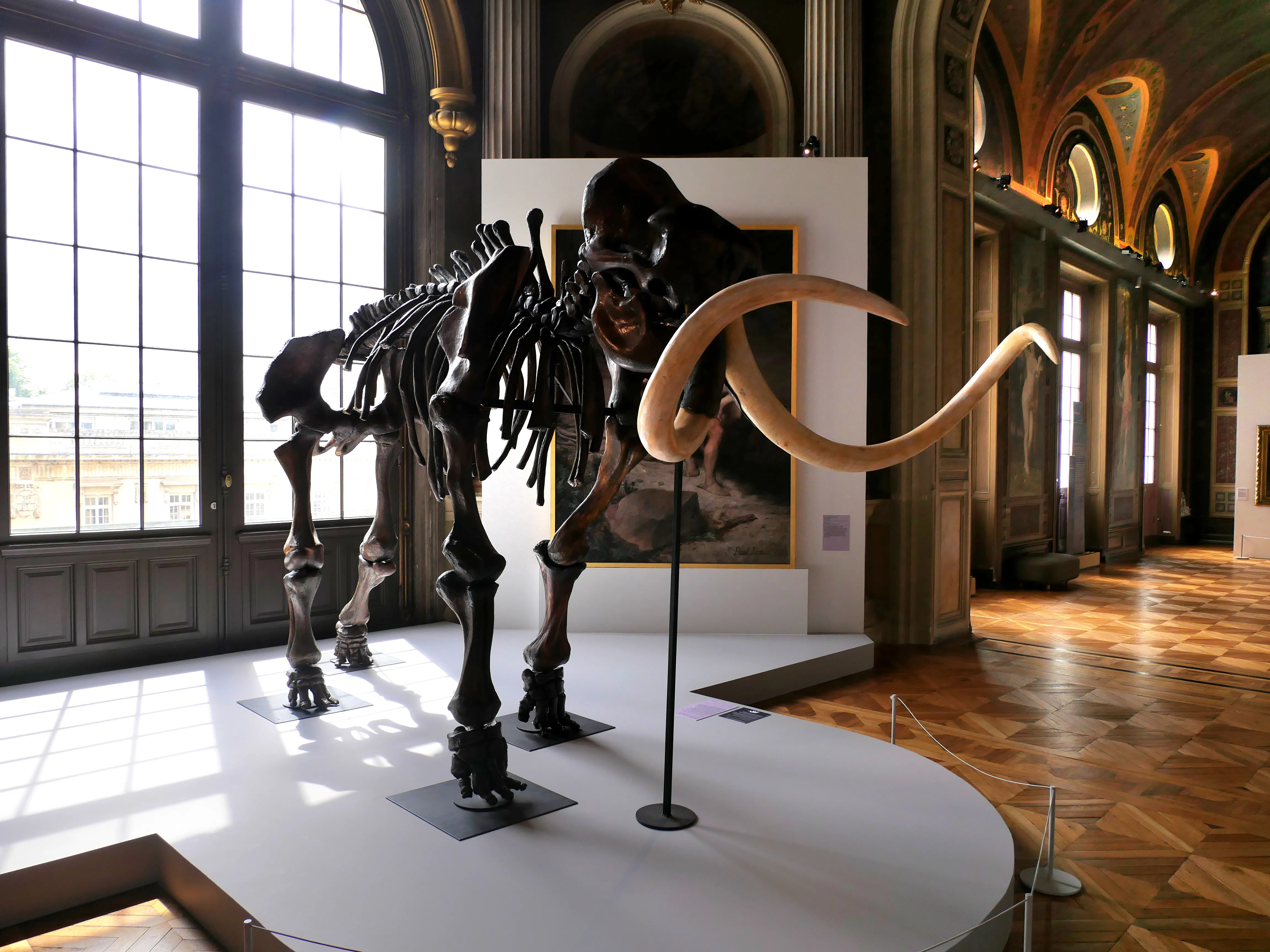 LA SOMME DES PRÉHISTOIRES