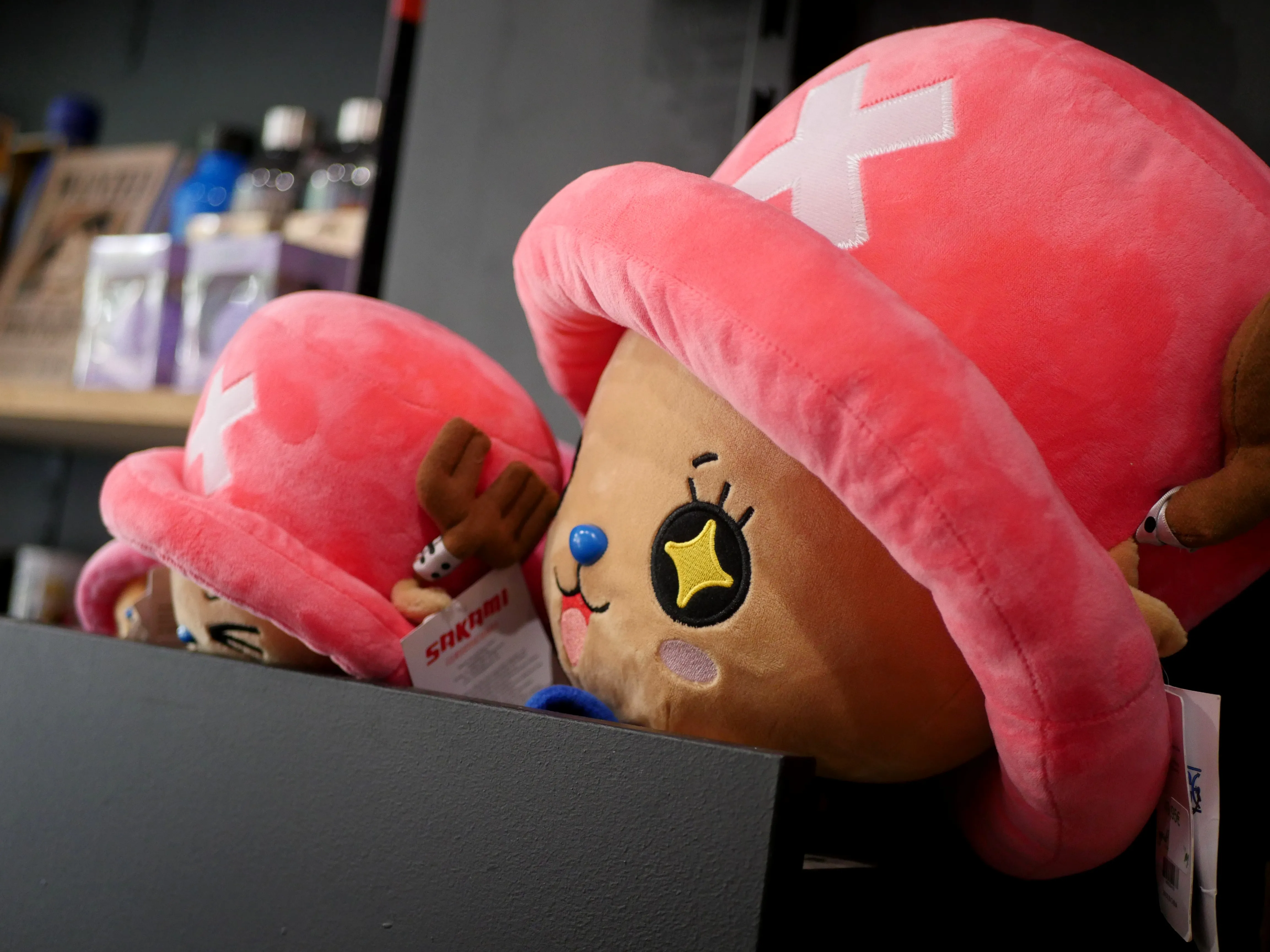 CETTE BOUTIQUE EST MAGIQUE