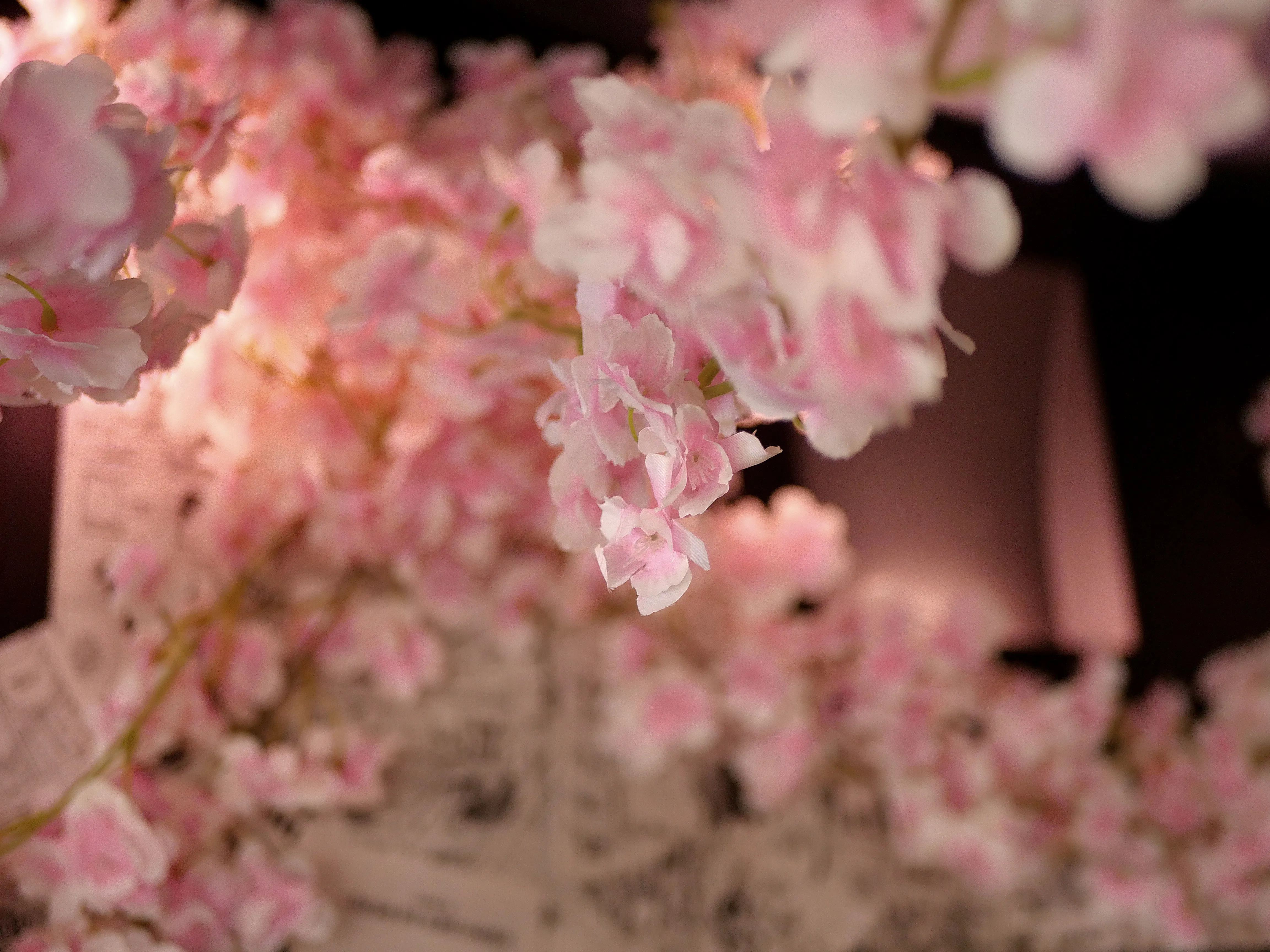 CETTE BOUTIQUE EST MAGIQUE