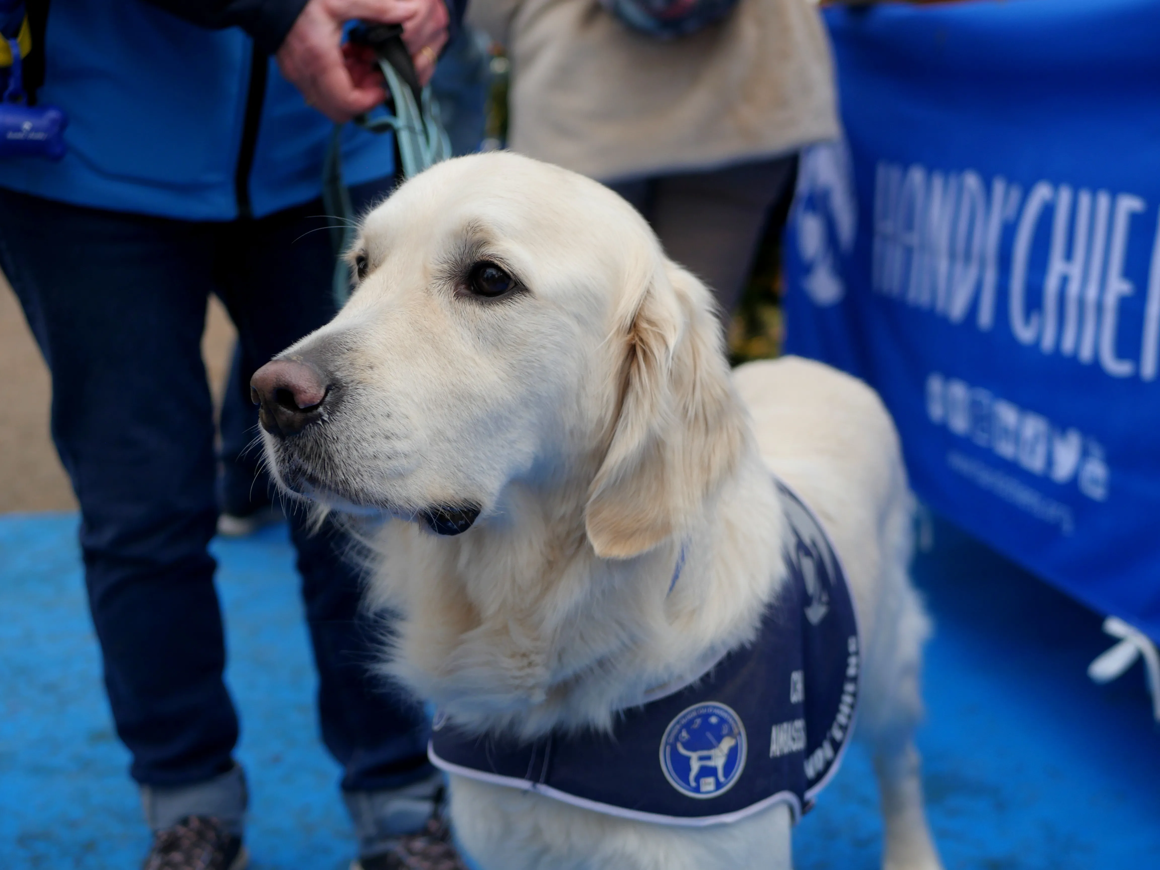 LE MARCHÉ DE NOËL SOLIDAIRE