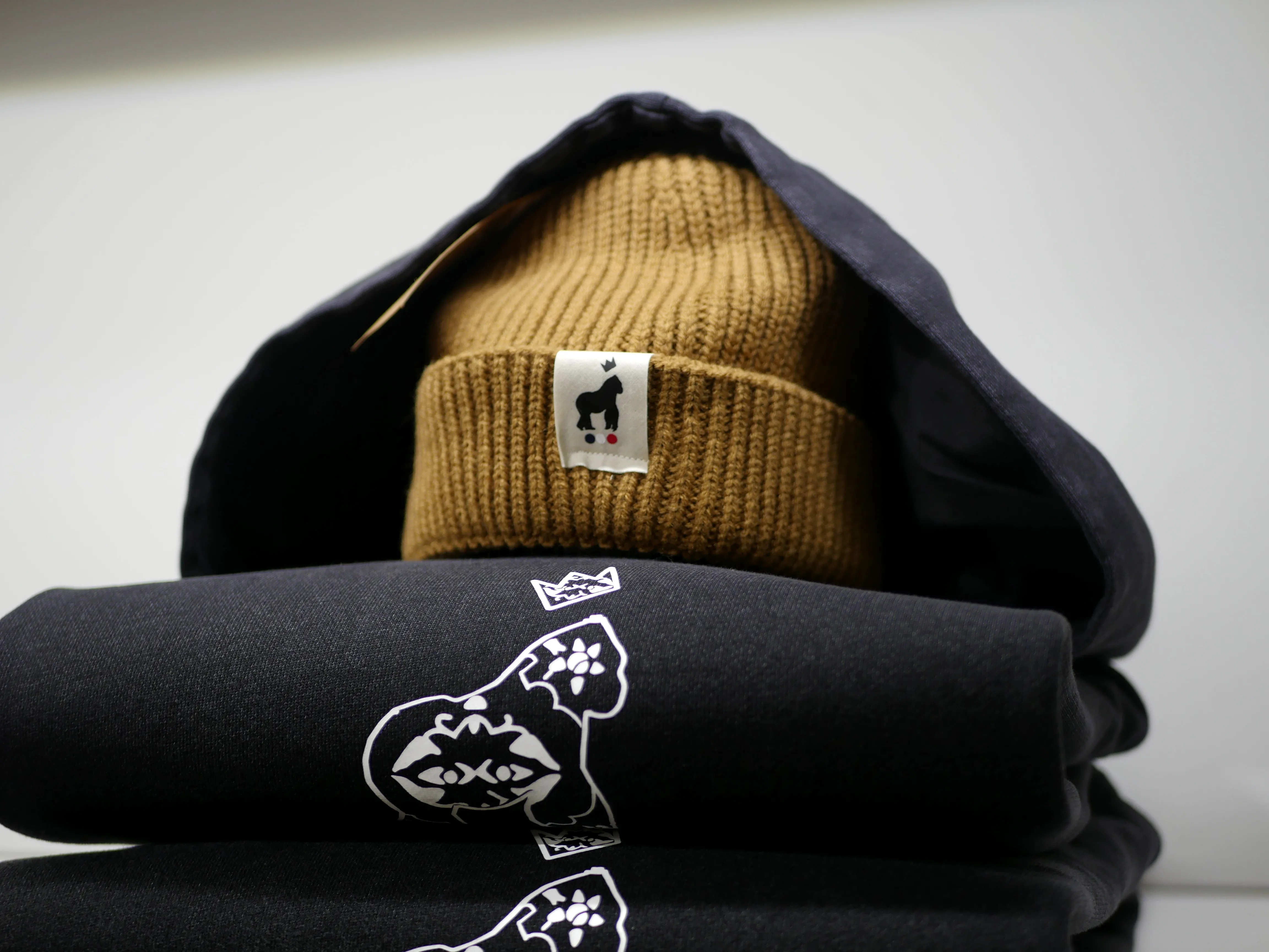 LA FORCE À L'AMIÉNOISE