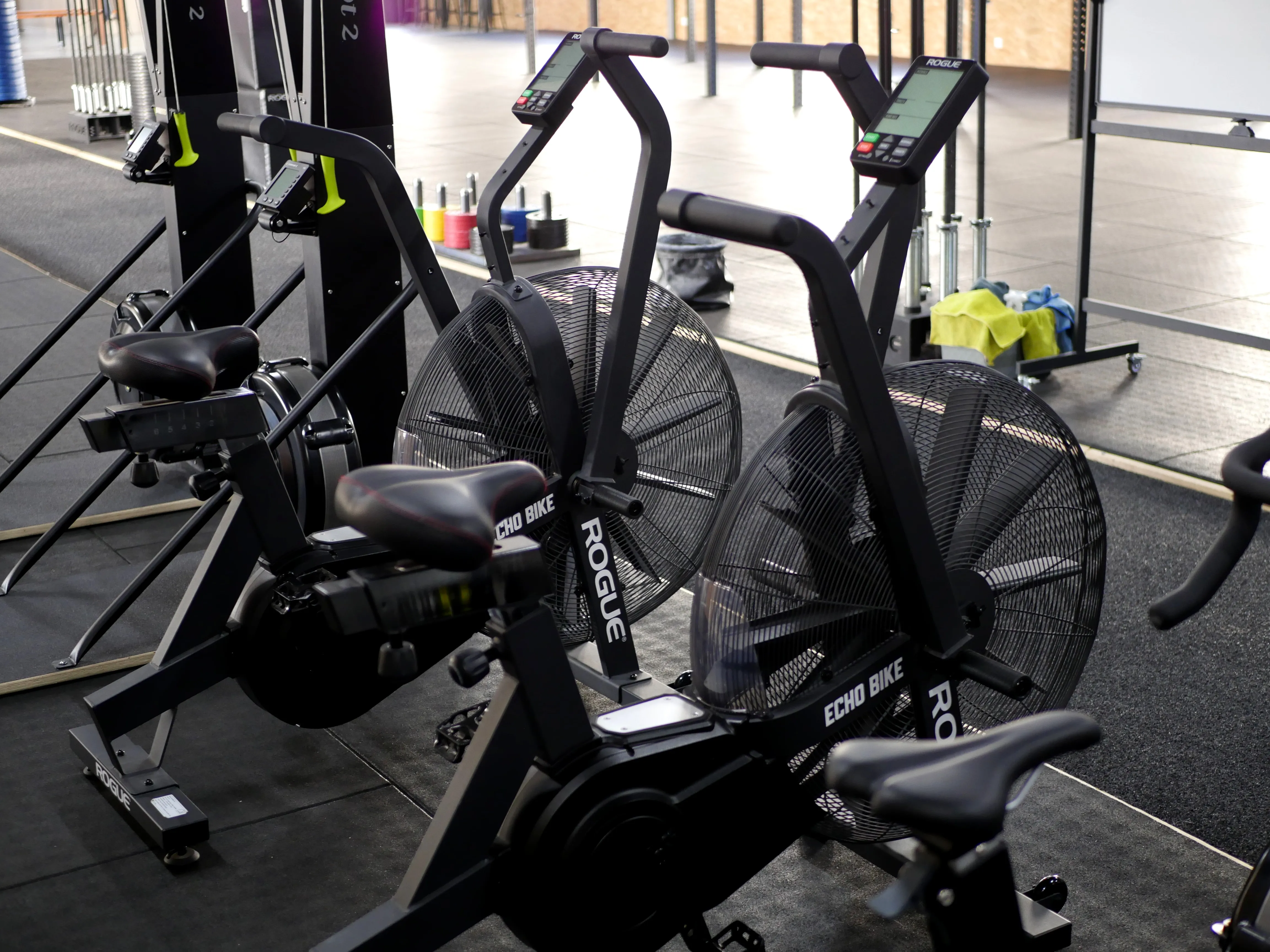 COSTAUDS COMME DES VIKINGS