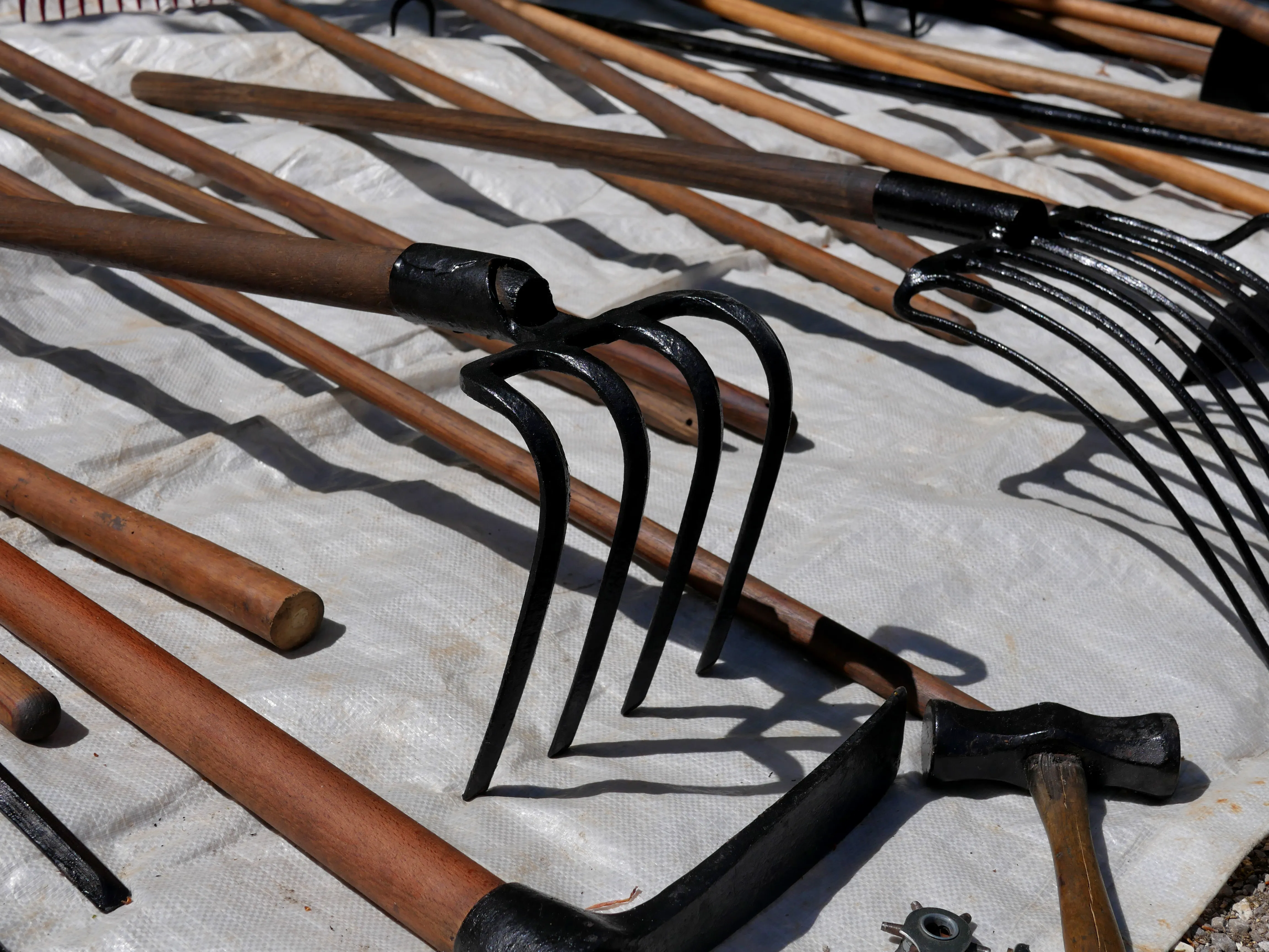 ÇA BOURGEONNE RUE LE MATTRE