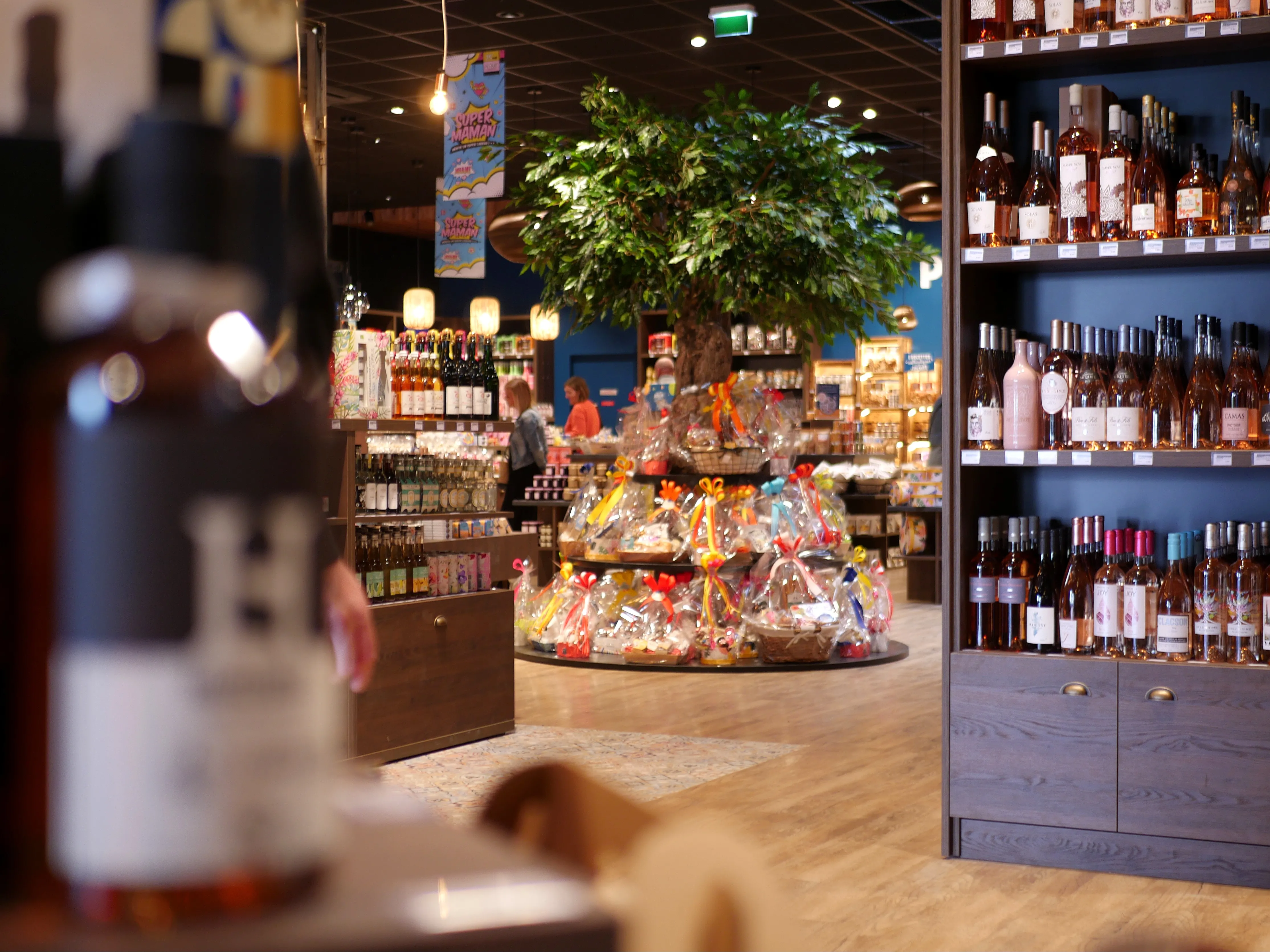 DES PAPILLES & DES PAPILLOTES