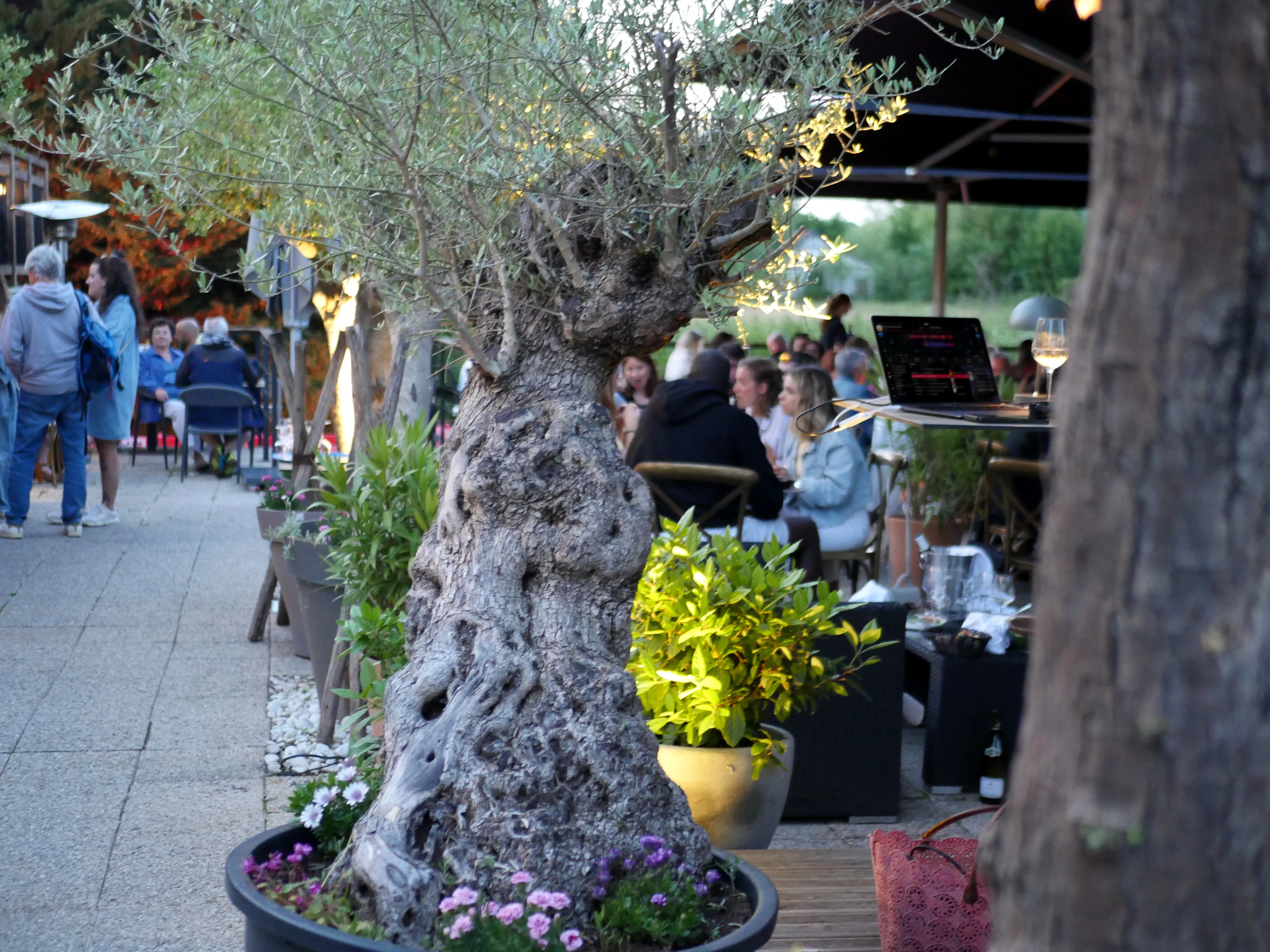 L'ÉTÉ A PRIS DE L'AVANCE