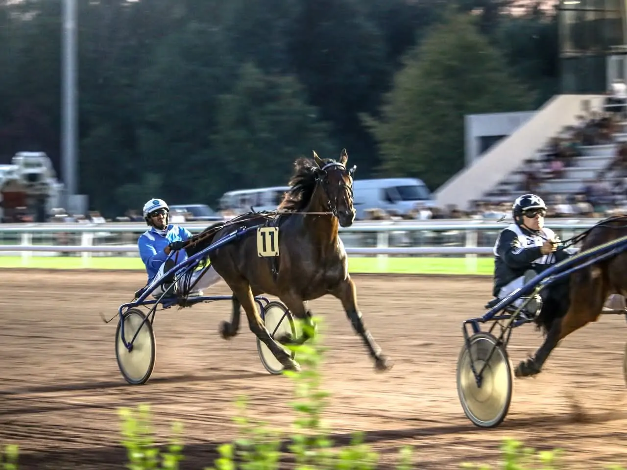 Courses de Trot Régionales – Grand Prix d’Amiens Métropole