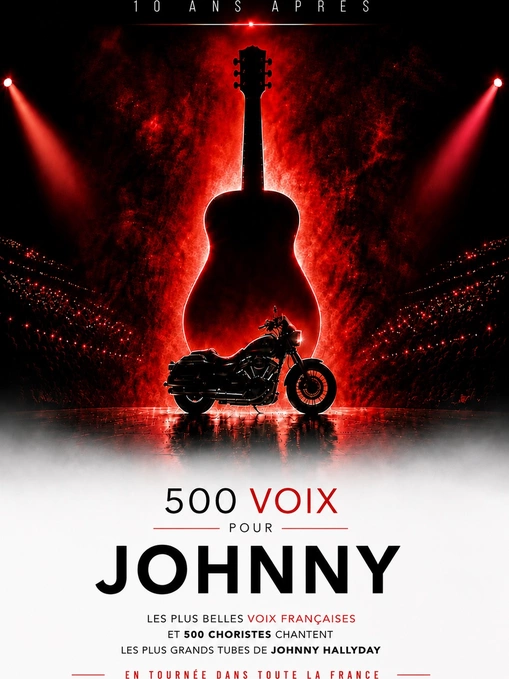500 voix pour Johnny | 10 ans après