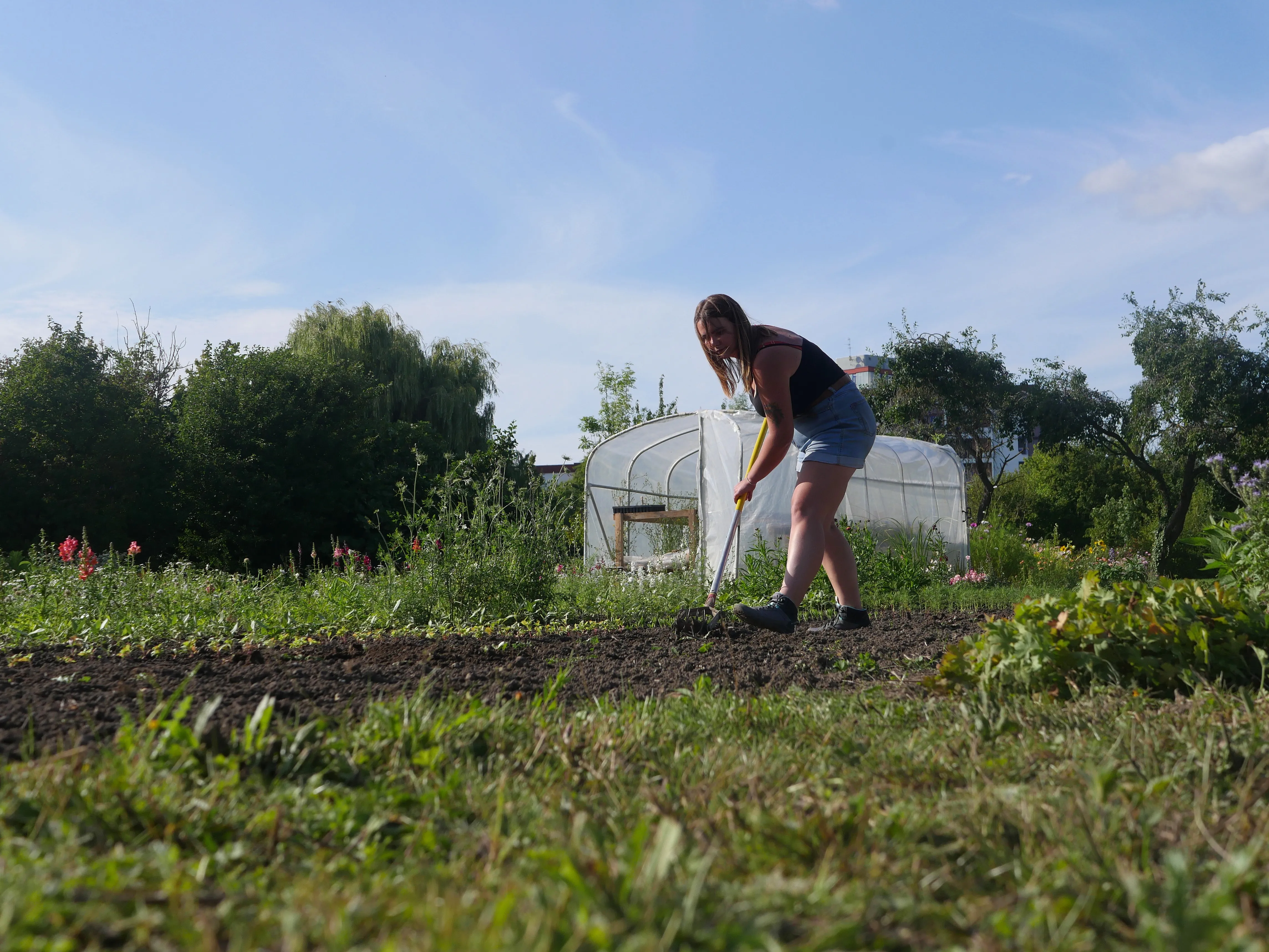 Fleuriste local à Amiens
