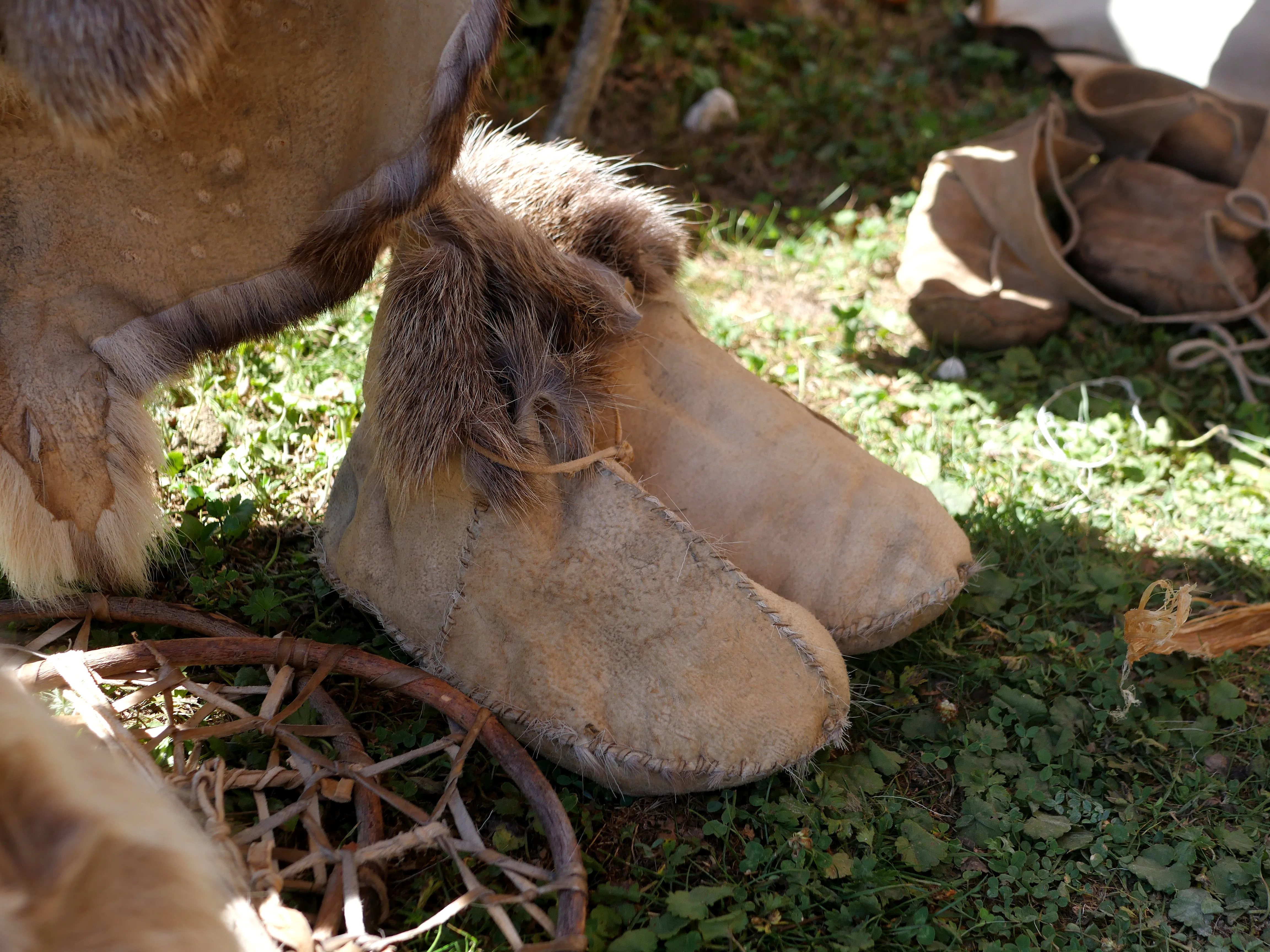 600 000 ans d’Histoire vivante !
