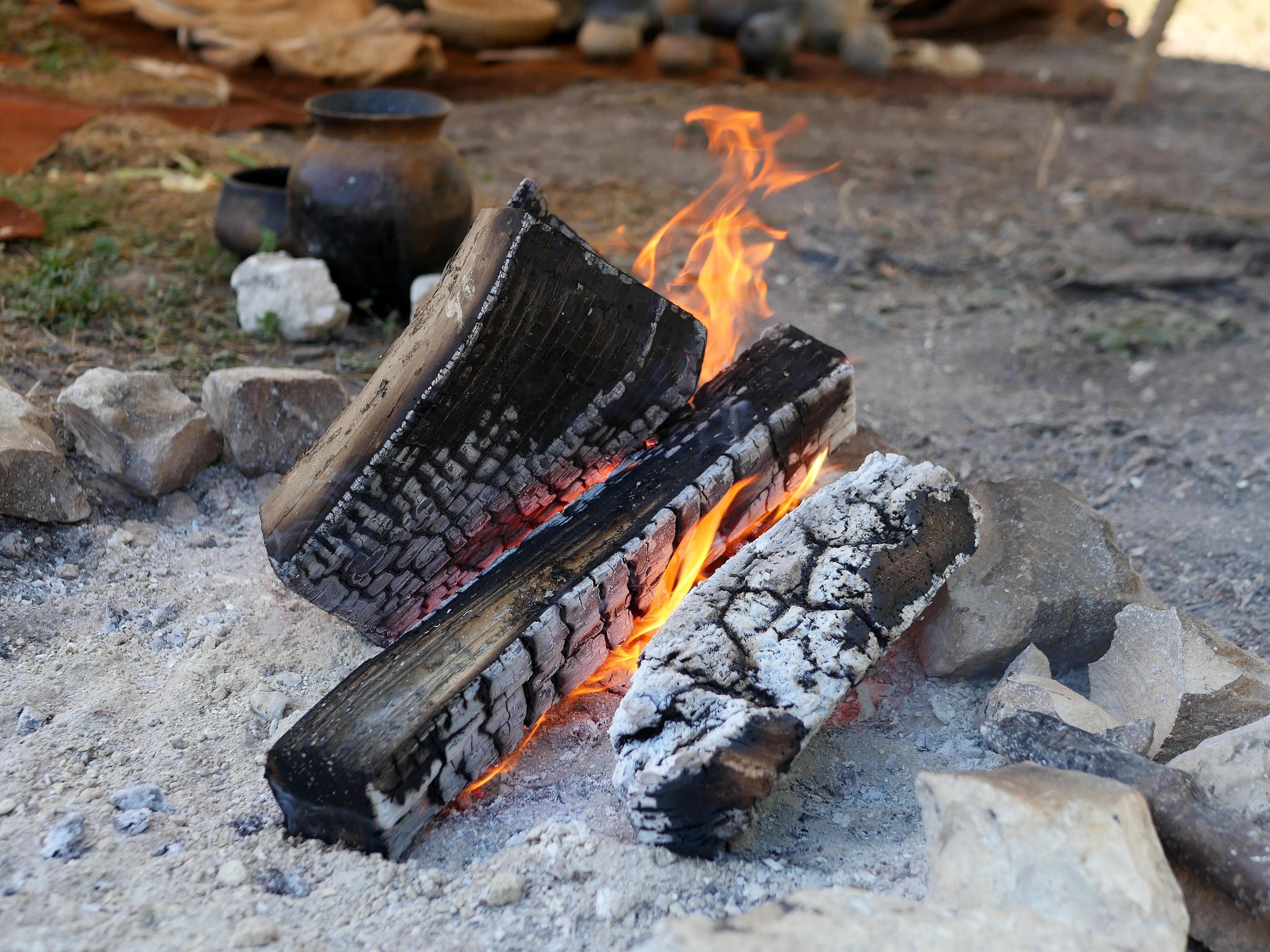 600 000 ans d’Histoire vivante !