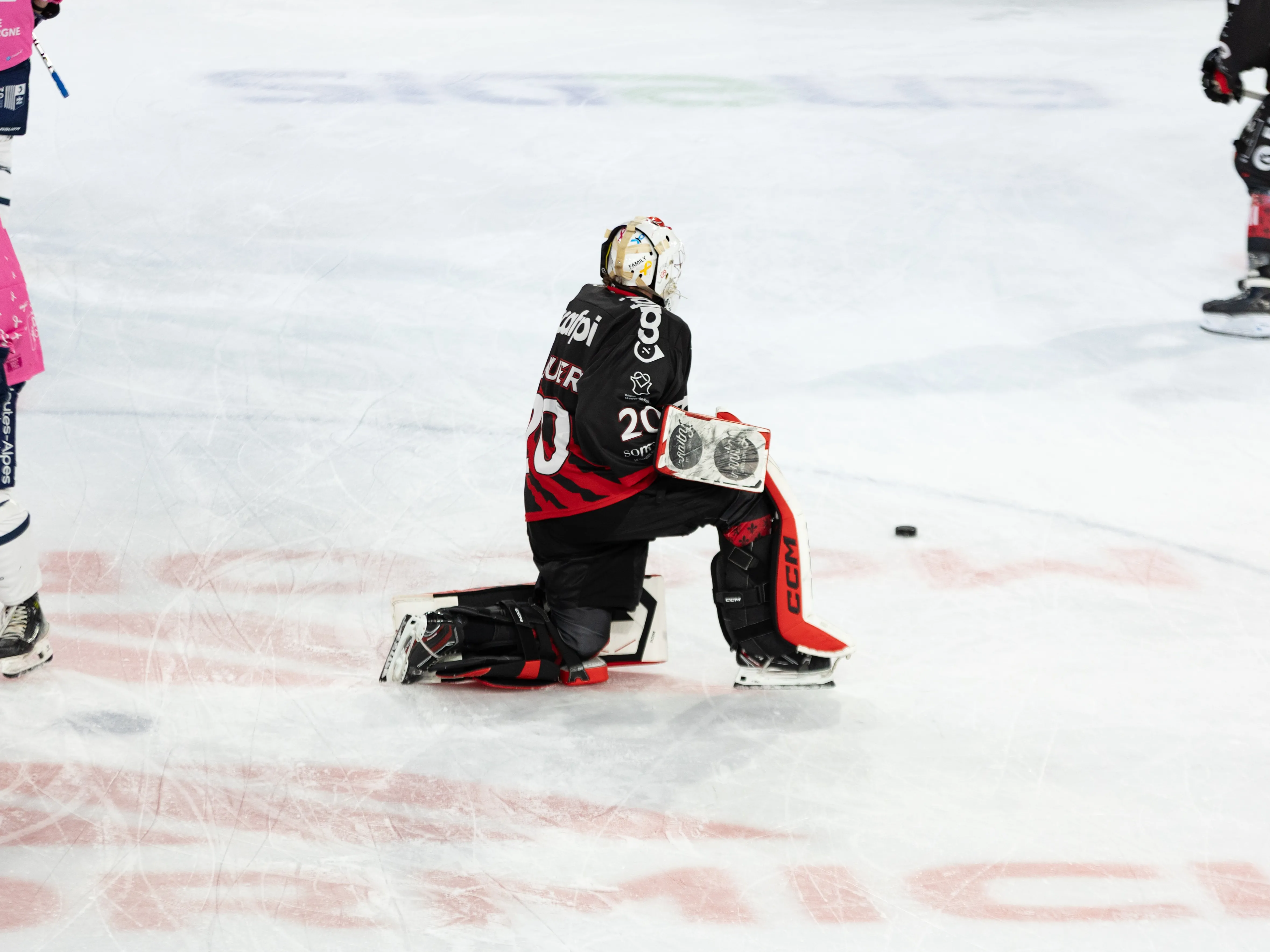 Notre fierté sur glace !