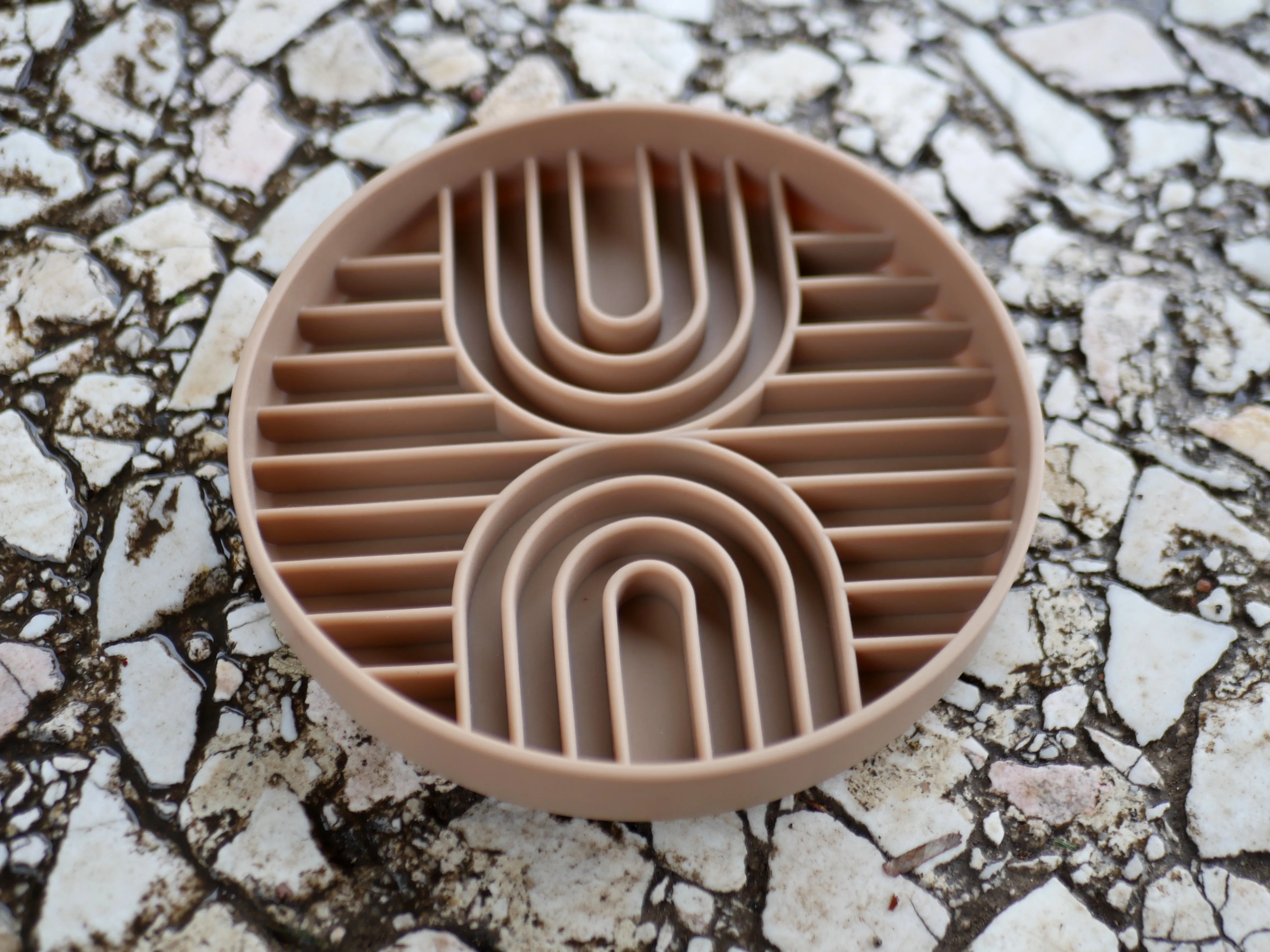 Le concept store canin amiénois qui réinvente l’univers des chiens