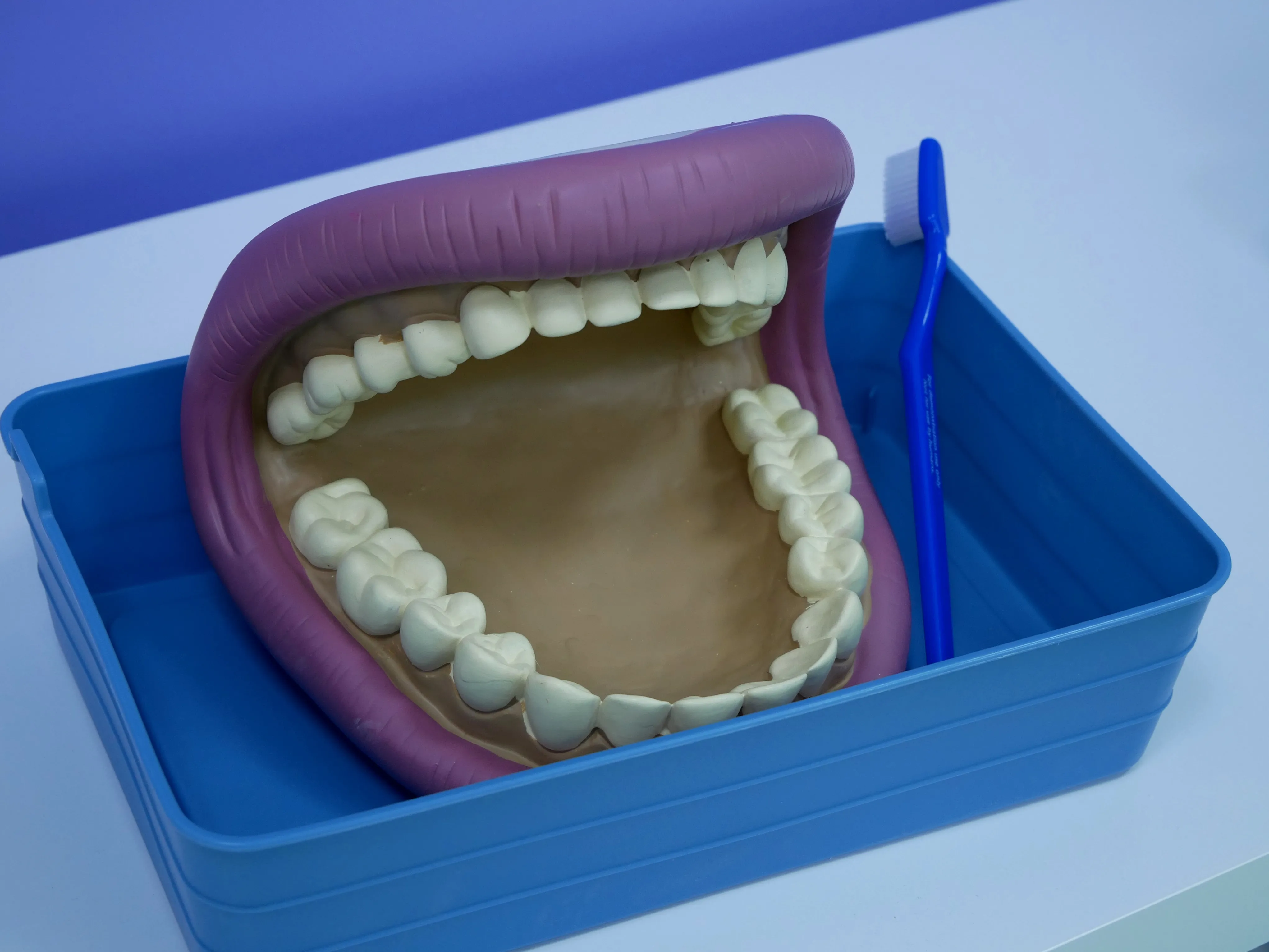 L’espace de jeux immersif et éducatif