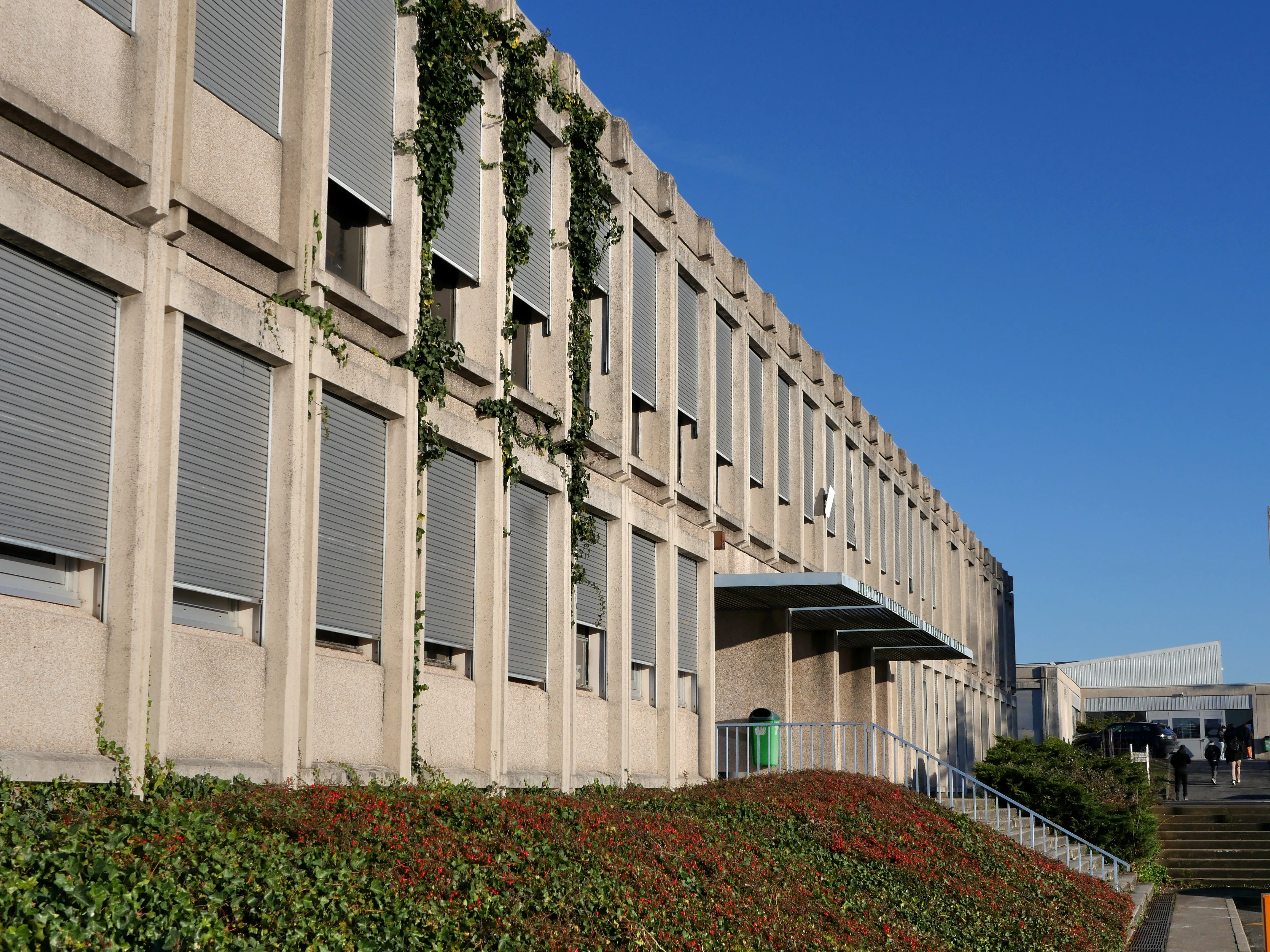Institut Universitaire de Technologie