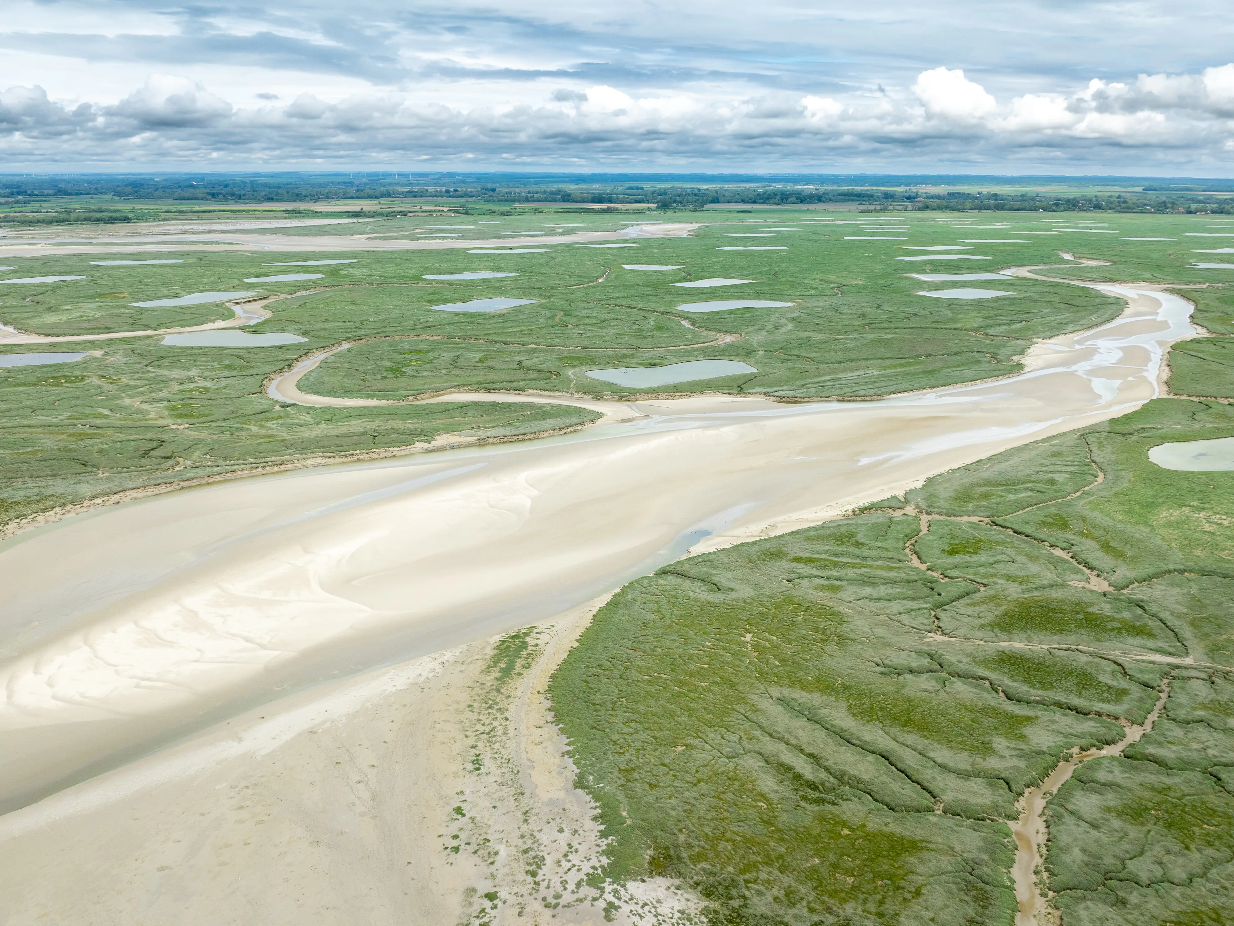 Collectivité territoriale