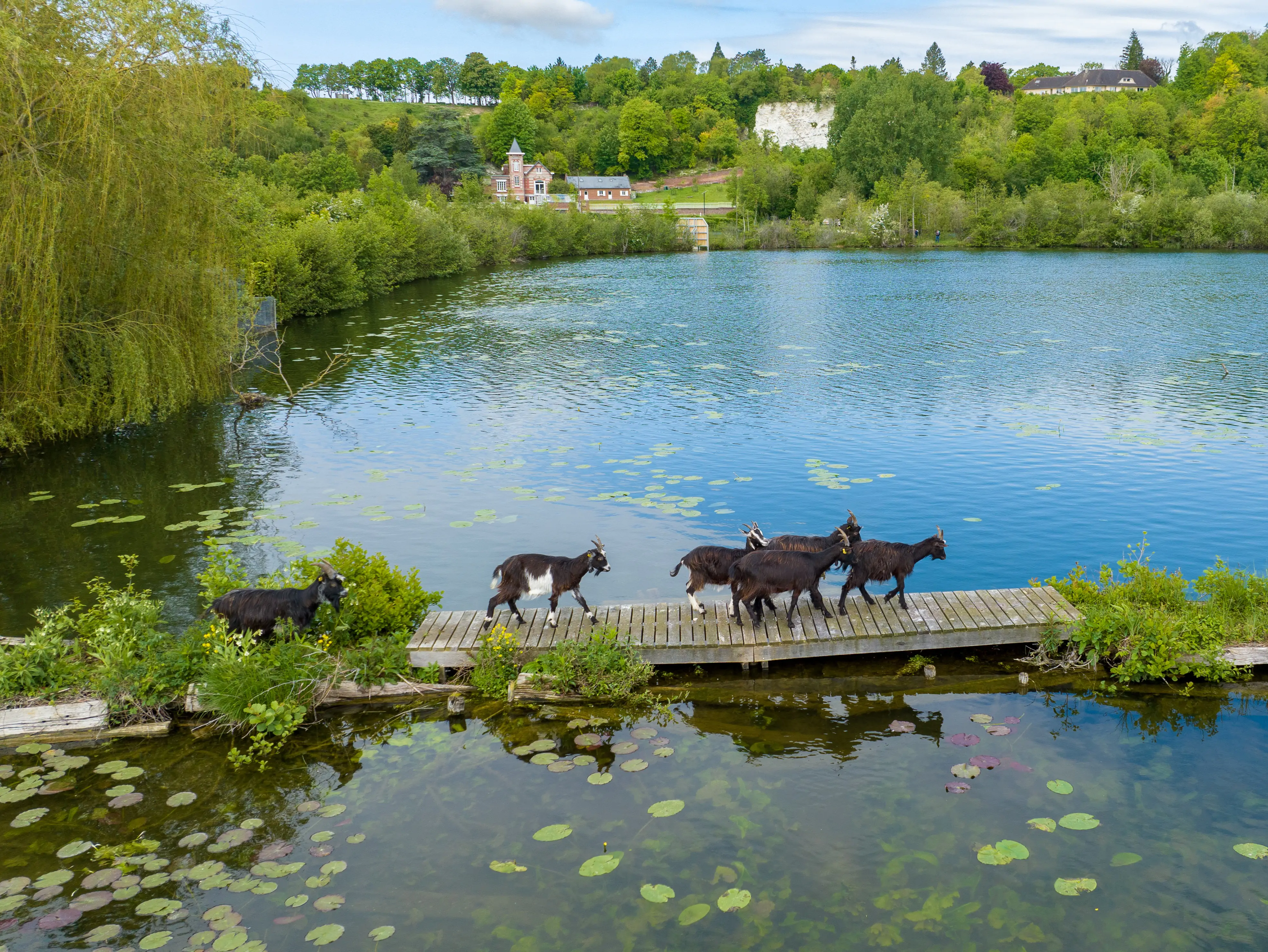 Collectivité territoriale