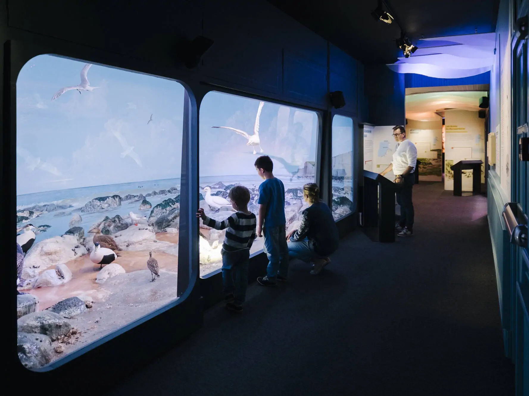 Collectivité territoriale