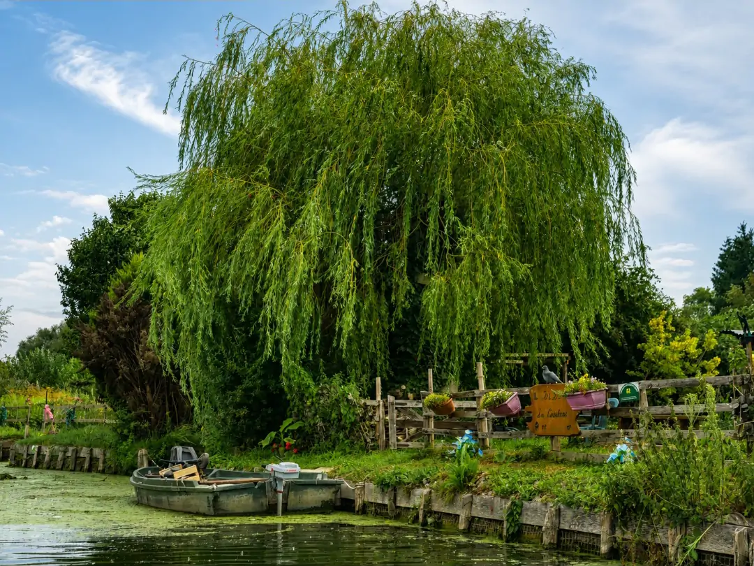 Les Hortillonnages