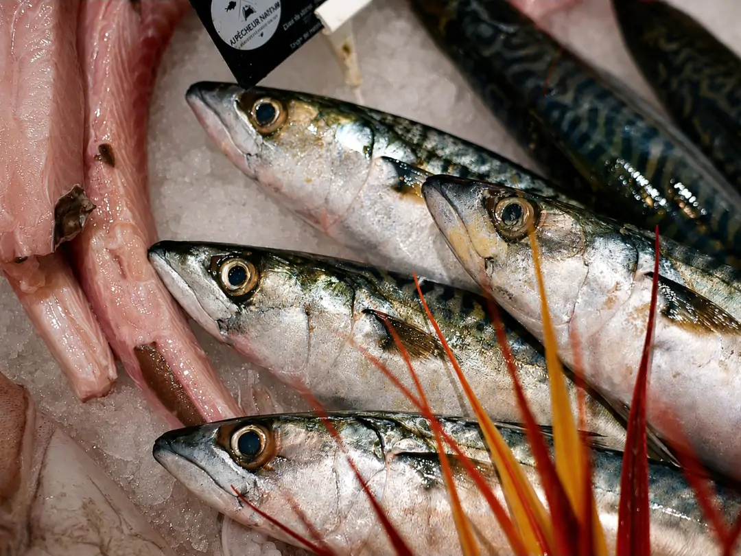 À Amiens, le poisson a trouvé son capitaine !