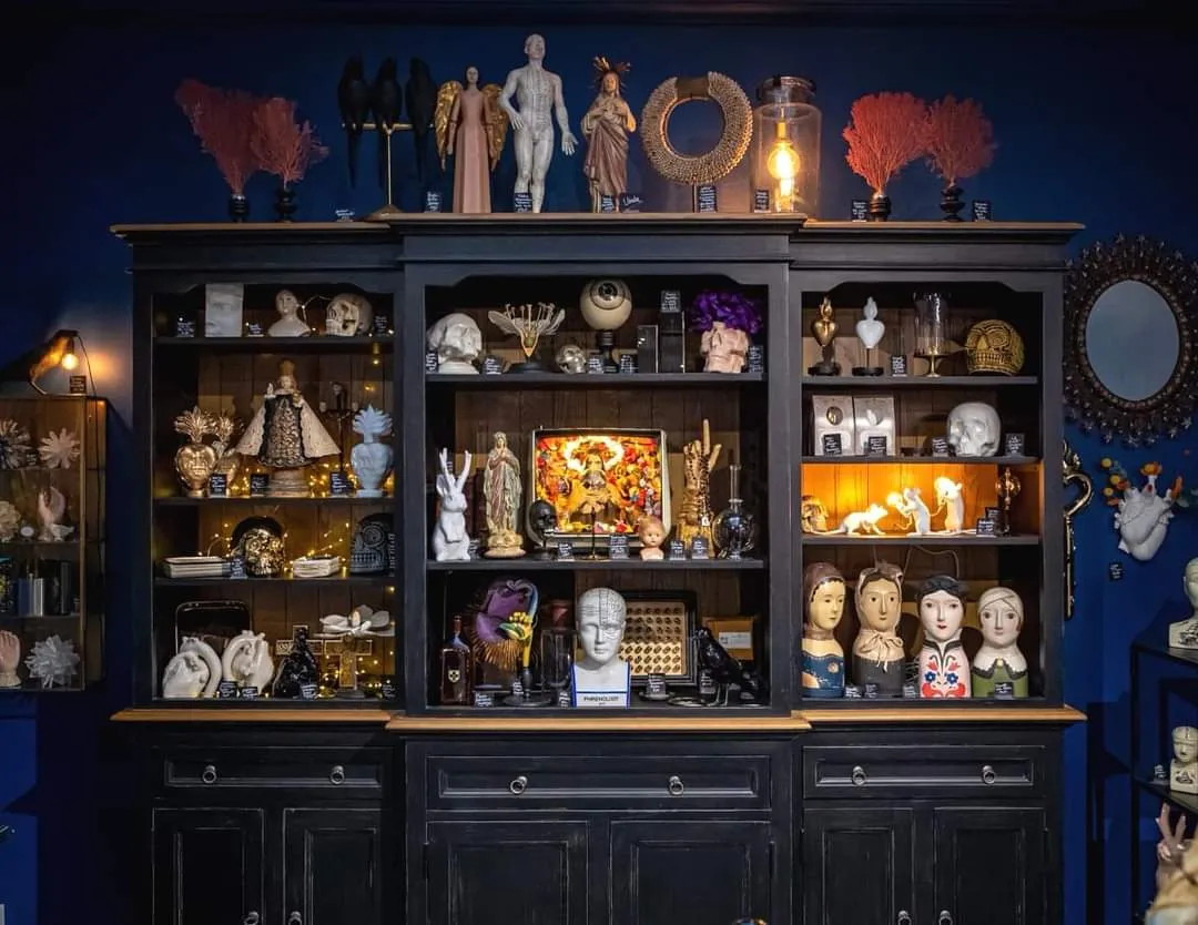 Découvre l'univers captivant du Wanderlust Concept Store