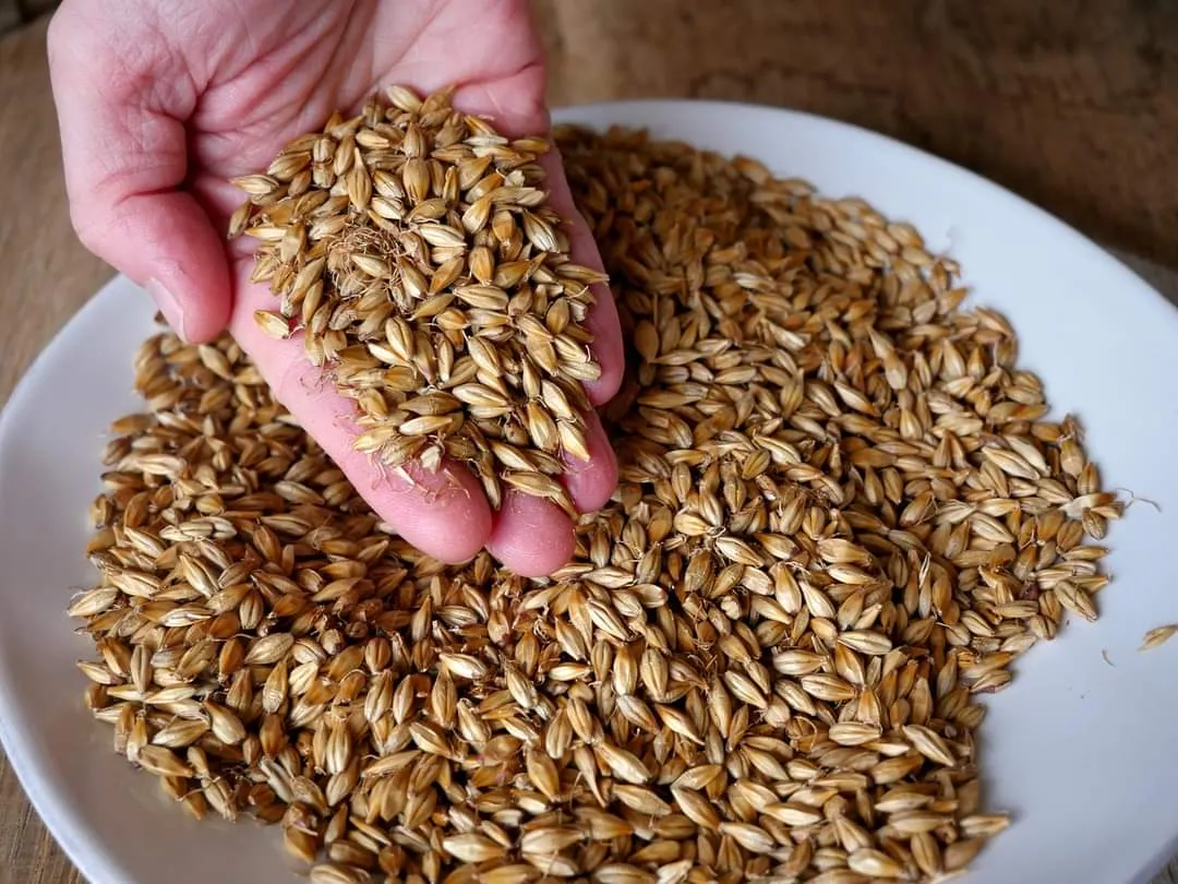 Du Gin et du Whisky made in Picardie