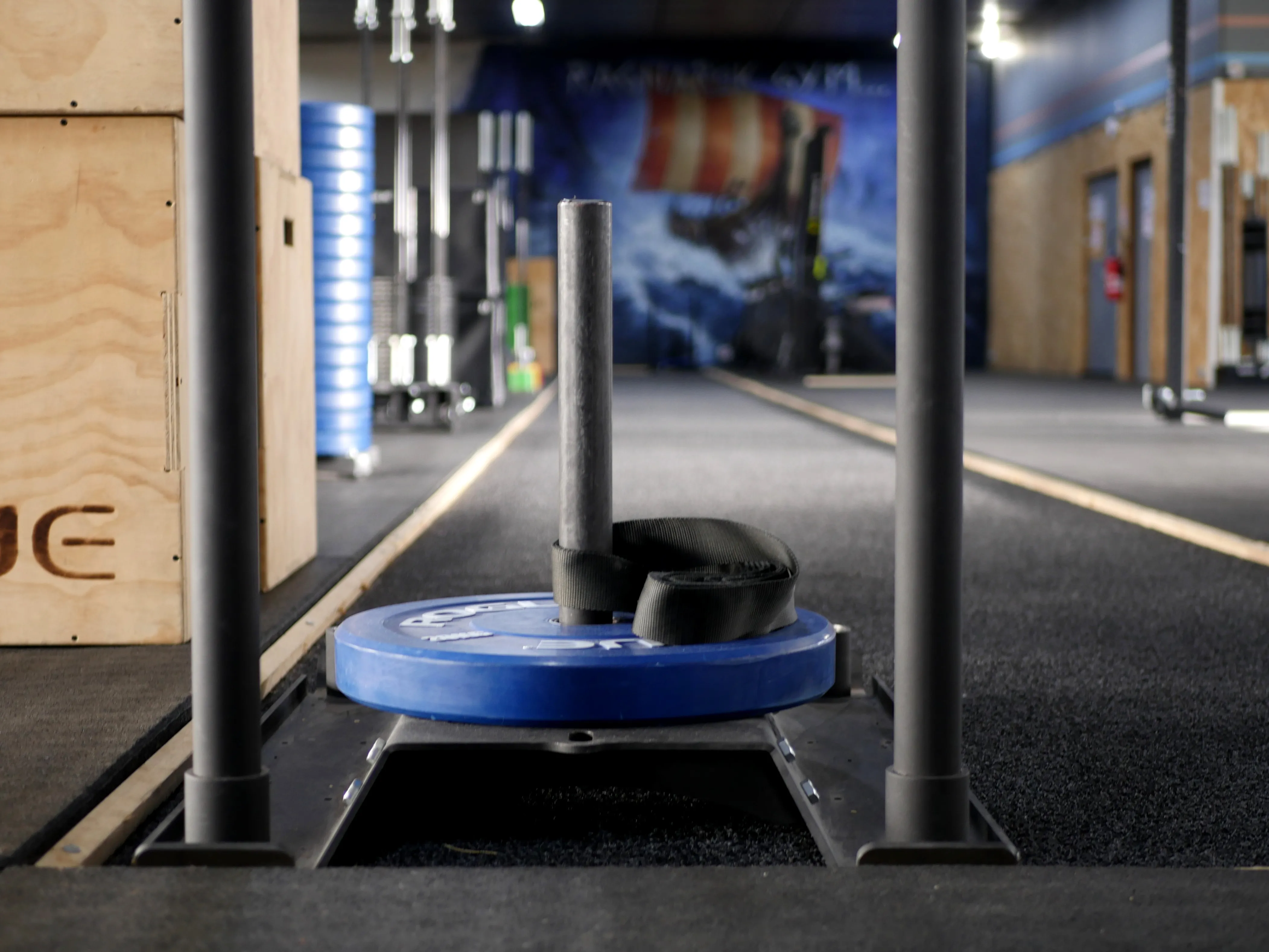 Pour devenir costauds comme des vikings