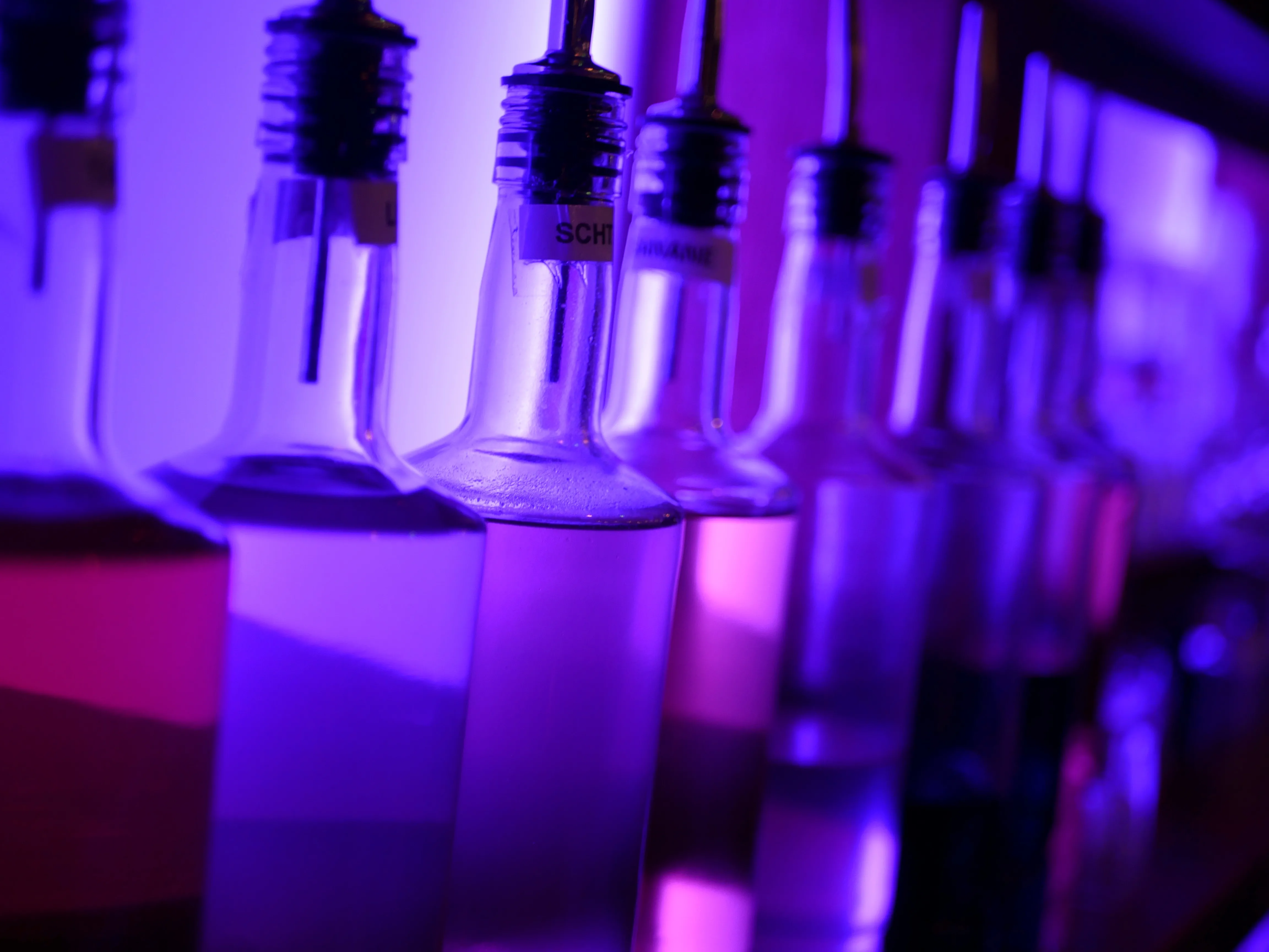 Bienvenue au Network !